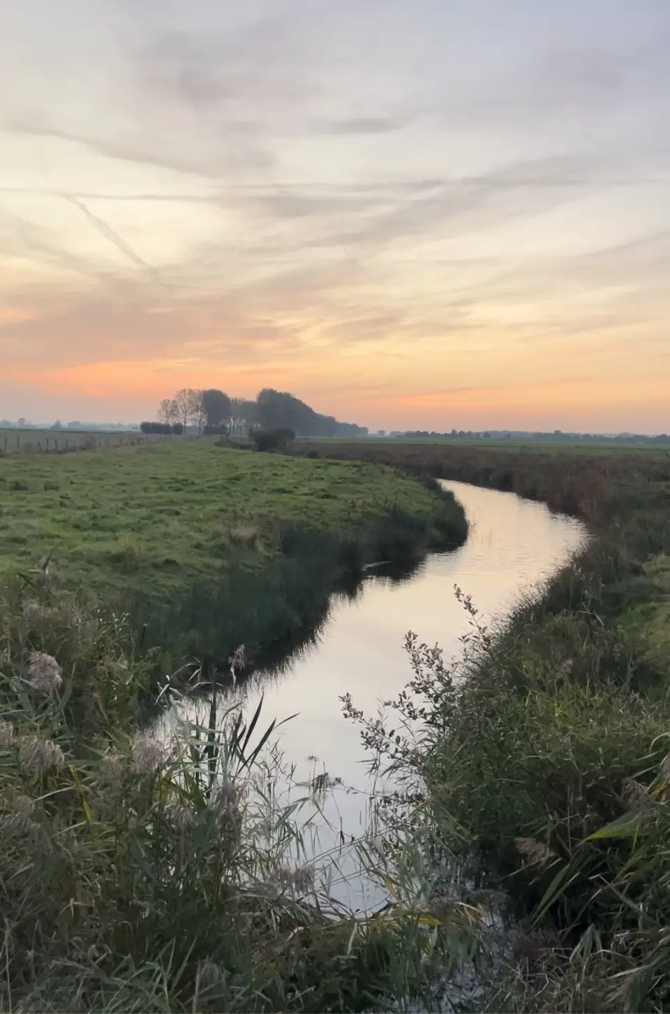 polder